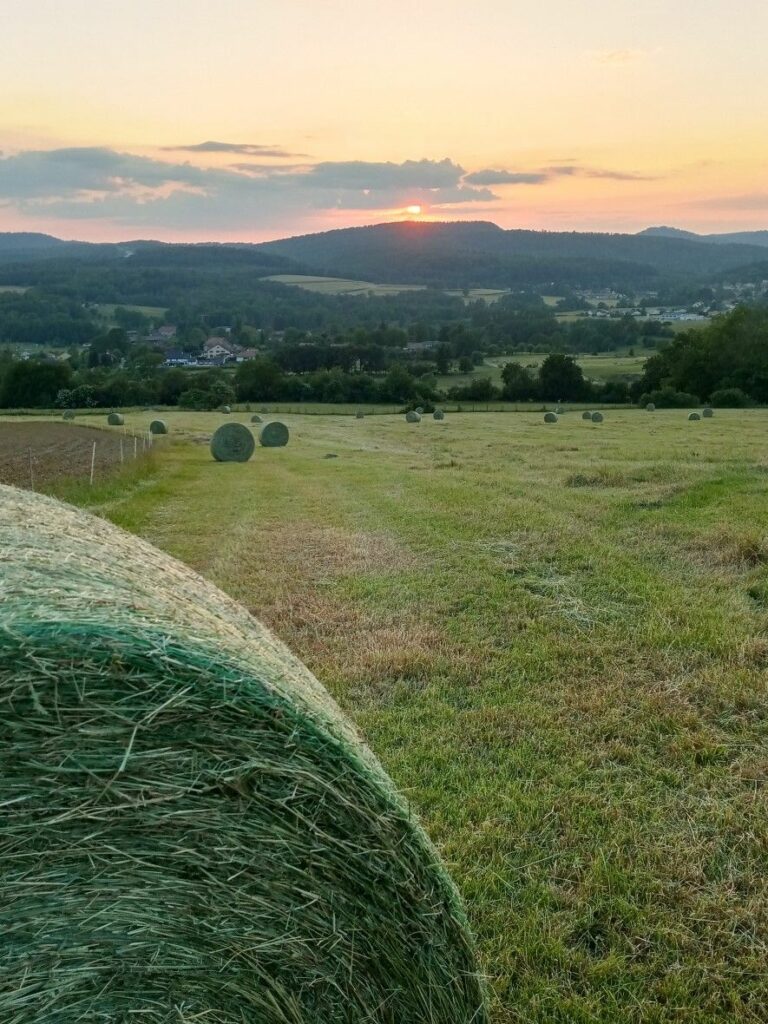 Vue depuis Mt Vaudois-WP (11)