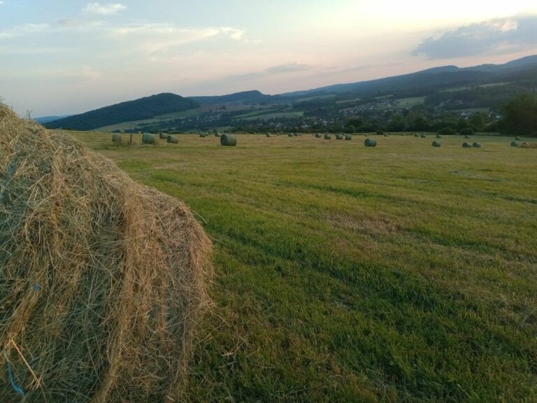 Vue depuis Mt Vaudois-WP (13)