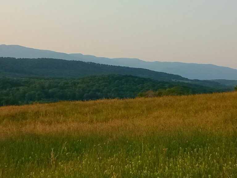 Vue depuis Mt Vaudois-WP (4)