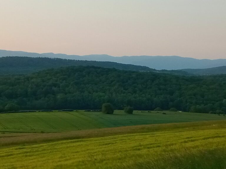 Vue depuis Mt Vaudois-WP (7)